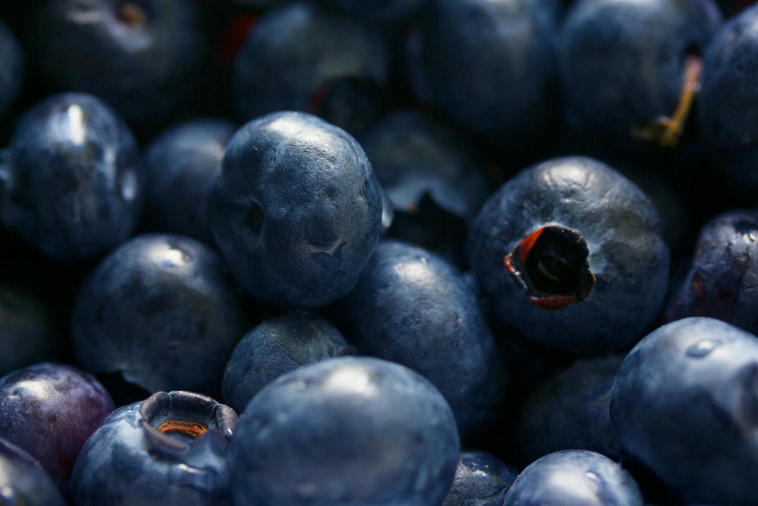 Top 10 Facts About Fresh Blueberries