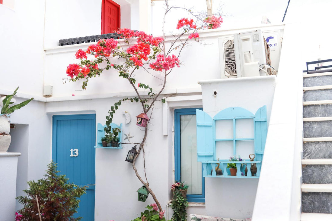 Bright flowers and blue white houses in Santorini Greece