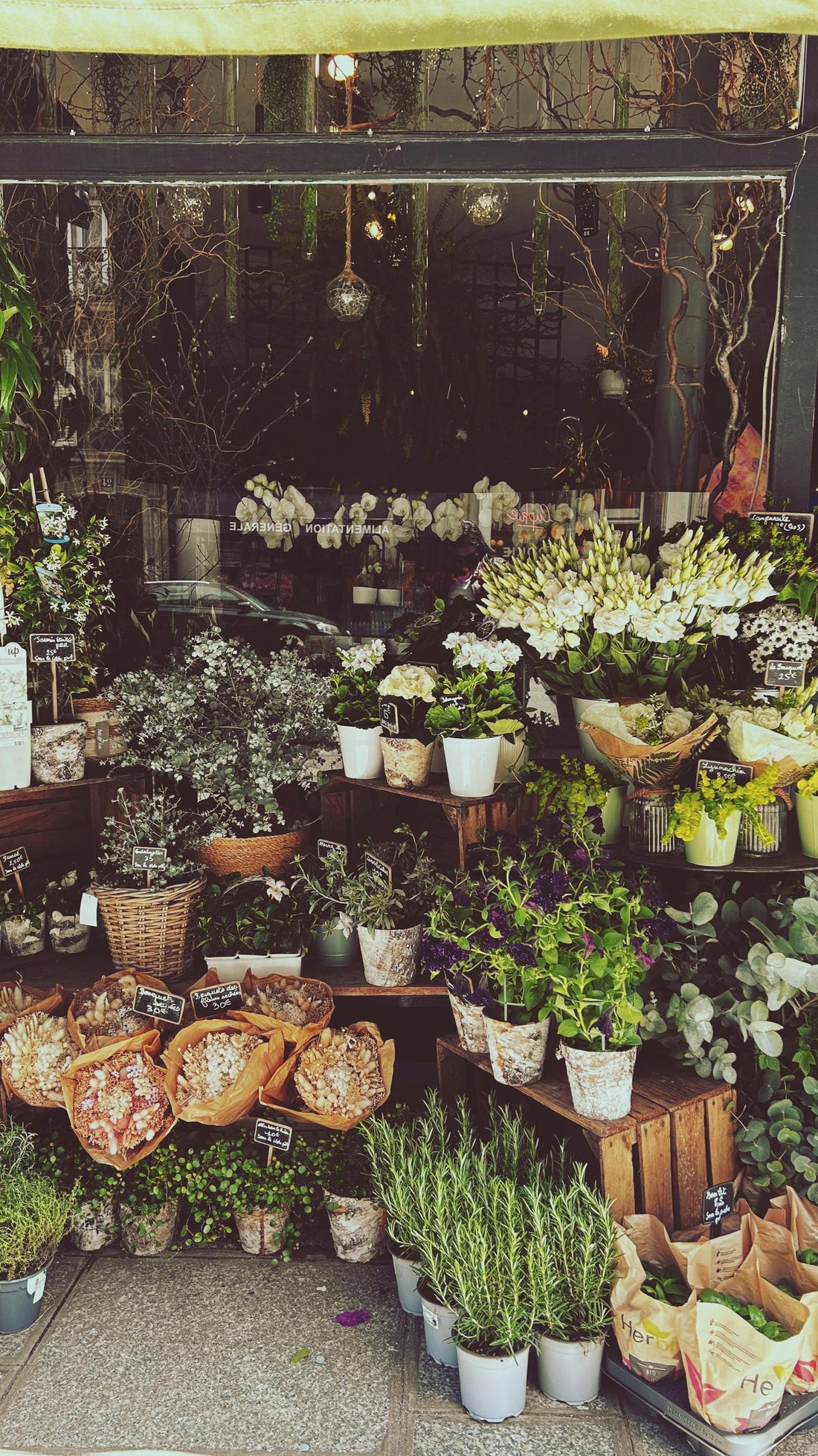 Getting good pictures in a Paris flower shop