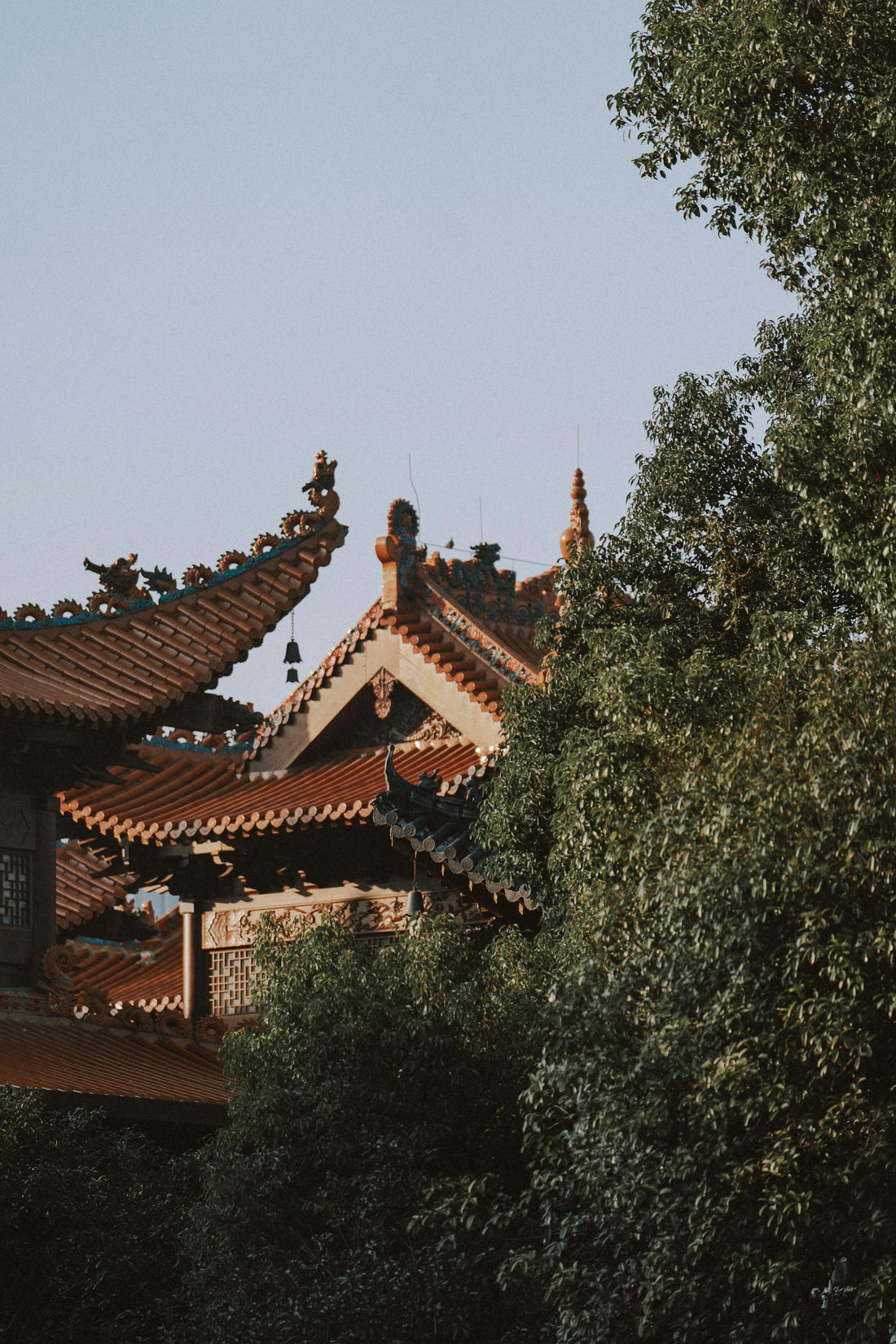 Serene View of Ancient Chinese Temple Rooftops and Trees