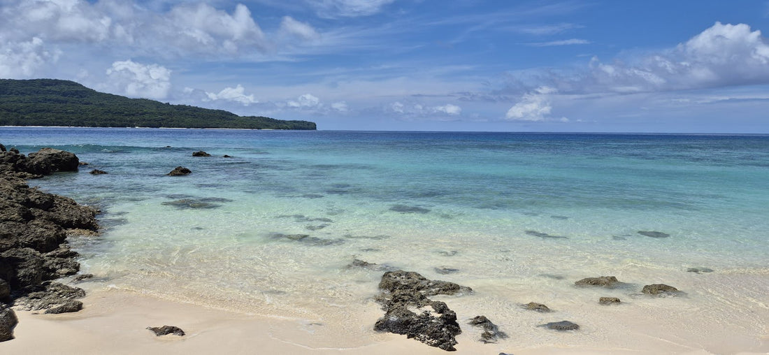 Serene Beach Scene with Turquoise Water and Rocky Shores