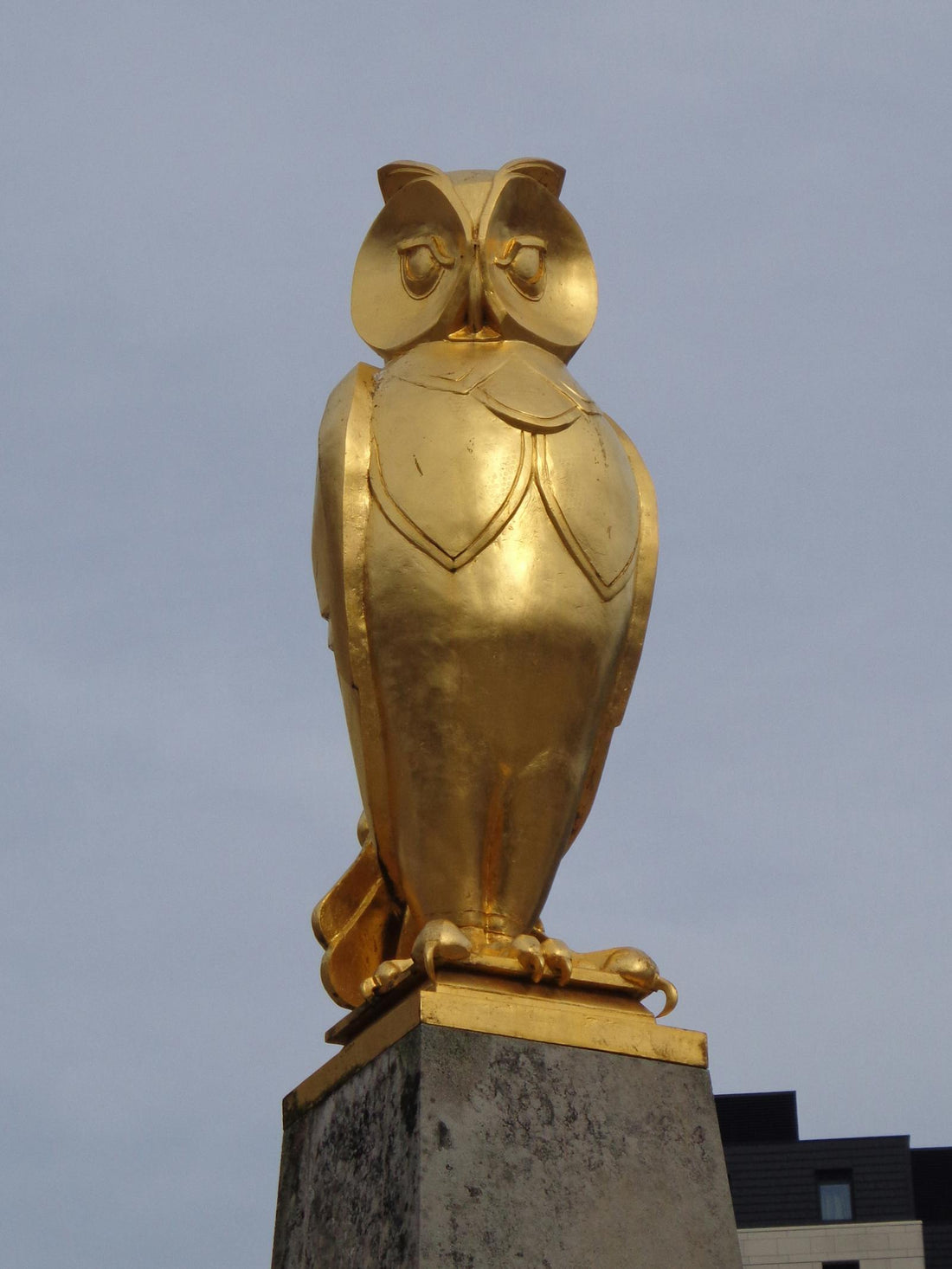Viewing the Golden Owl Statue Landmark in Leeds UK