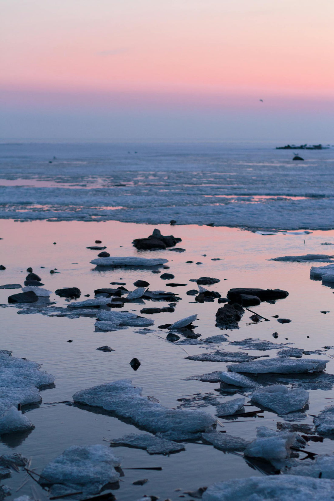 Frozen Seashore at Sunset