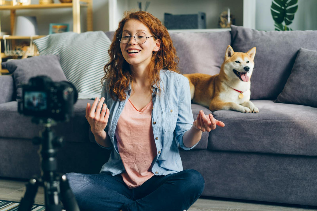 Making videos at home with your Shiba Inu dog